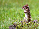 %_tempFileName2008_1_037w%