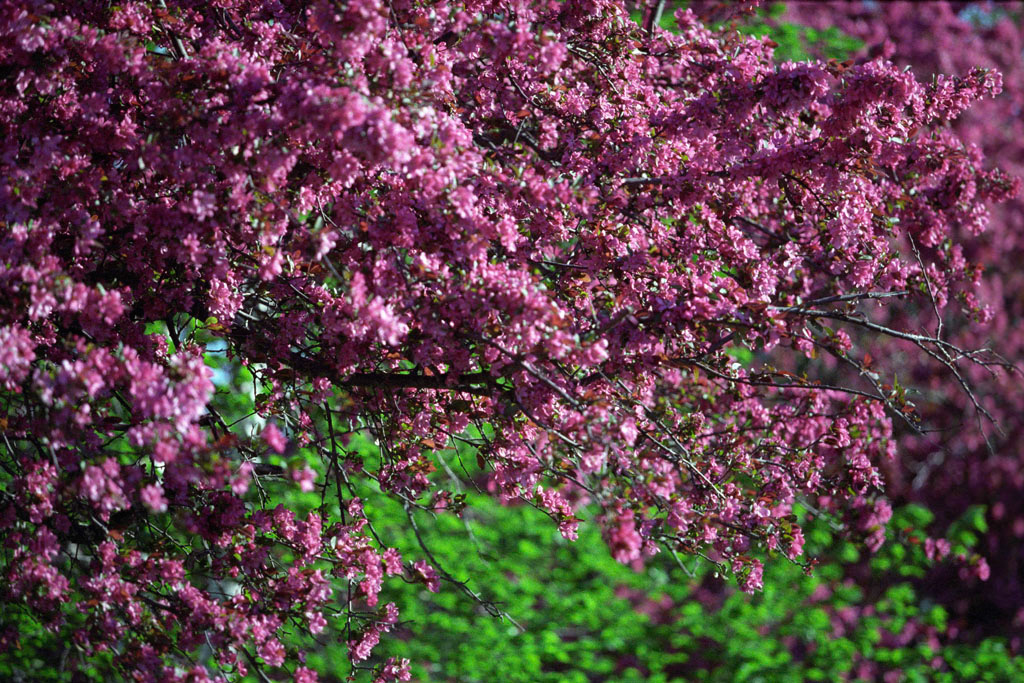 %_tempFileName2009_3_02%