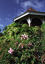 %_tempFileName2009_4_03%