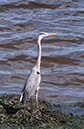 %_tempFileName2009_4_20%