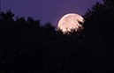 %_tempFileName2009_6_01%