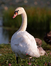 %_tempFileName2009_6_09%