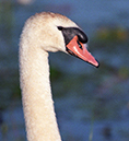 %_tempFileName2009_6_13%