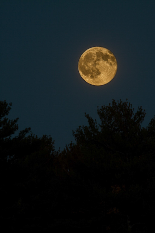%_tempFileName2010_18_31%
