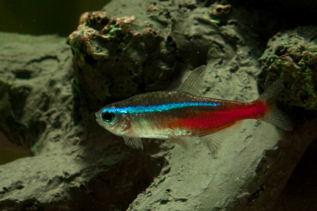 %_tempFileName2010_4_15%