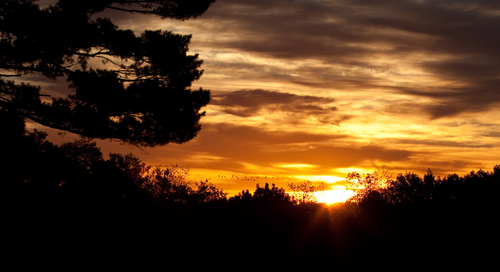 %_tempFileName2011_17_001%