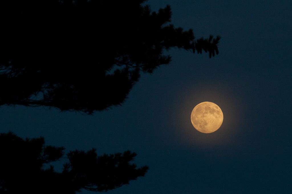 %_tempFileName2011_17_002%