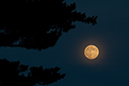 %_tempFileName2011_17_002%
