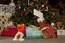 %_tempFileName2011_20_001%