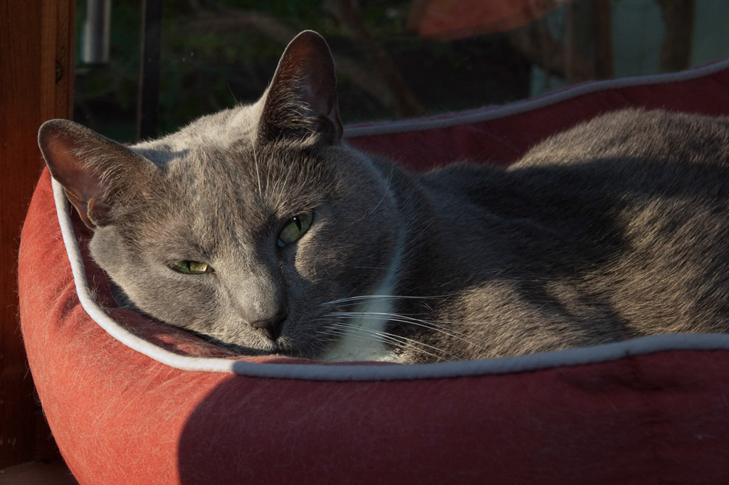 %_tempFileName2012_4_007%