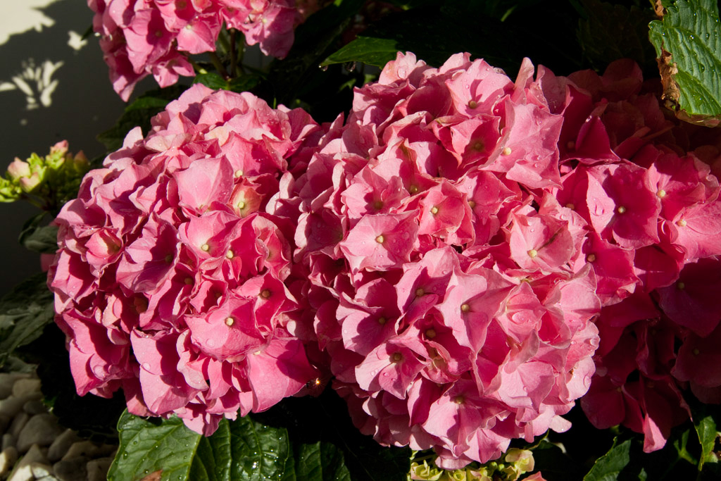 %_tempFileName2012_7_038%
