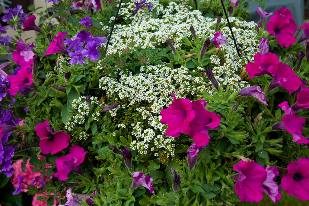 %_tempFileName2012_8_046%