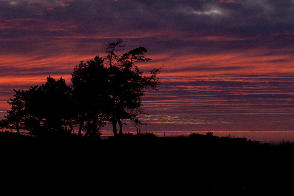 %_tempFileName2012_9_054%