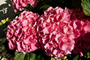 %_tempFileName2012_7_038%