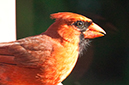 %_tempFileName2012_7_039%
